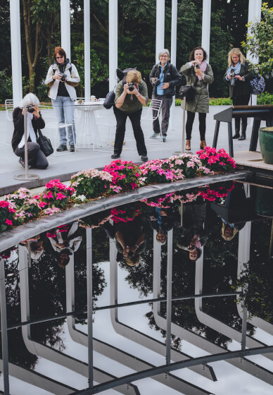 Beginner DSLR Photography Workshop