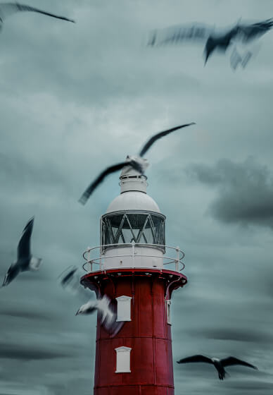 Beginner Photography Course (2 Part Course)
