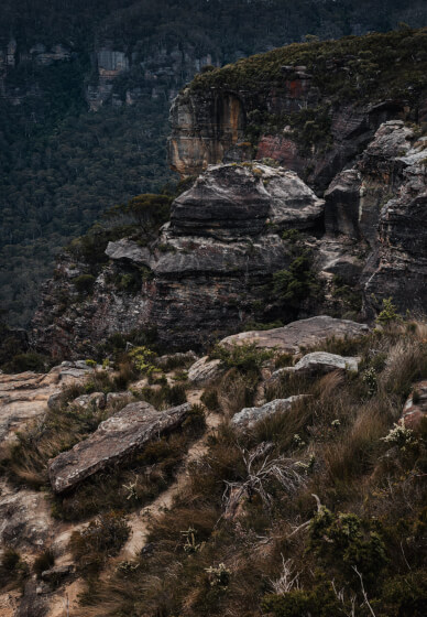 Beginner Photography Workshop