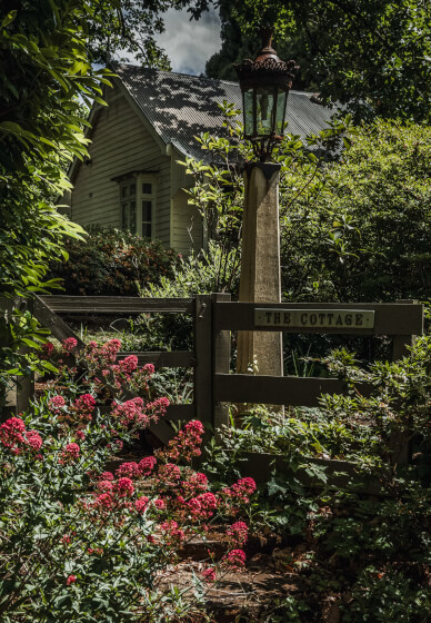 Beginner Photography Workshop