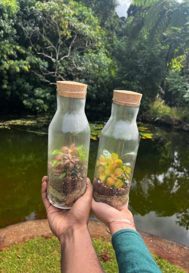 Beginner Terrarium Making Class