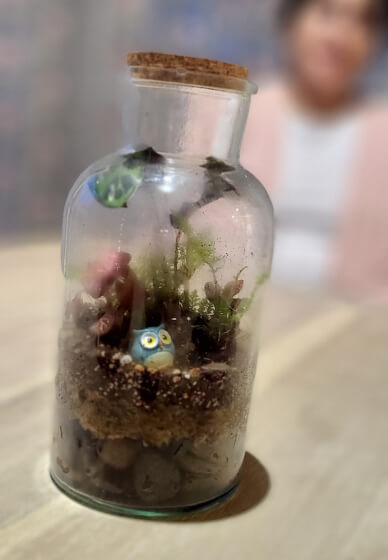 Beginner Terrarium Making Class