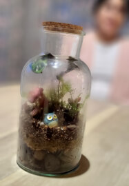 Beginner Terrarium Making Class