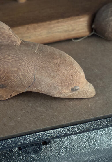 Beginner Workshop - Forgotten Projects