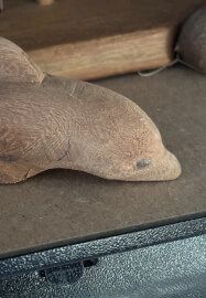 Beginner Workshop - Forgotten Projects