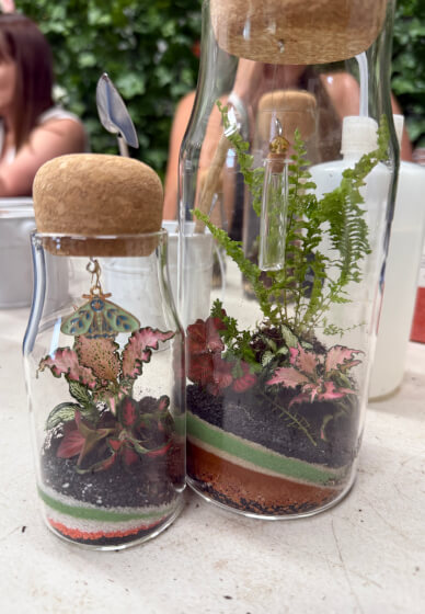 Beginner's Bottle Terrariums Class