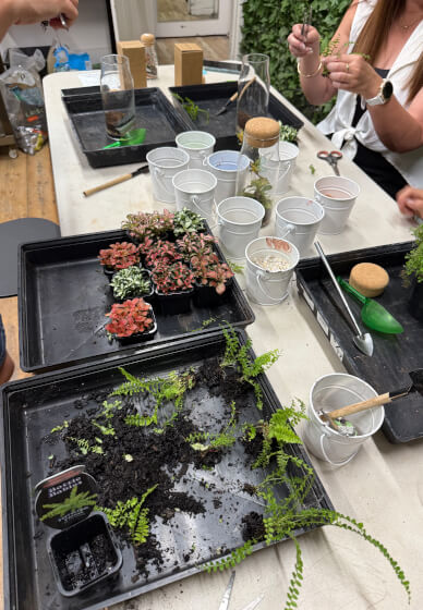 Beginner's Bottle Terrariums Class