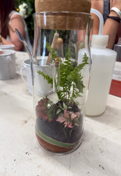 Beginner's Bottle Terrariums Class