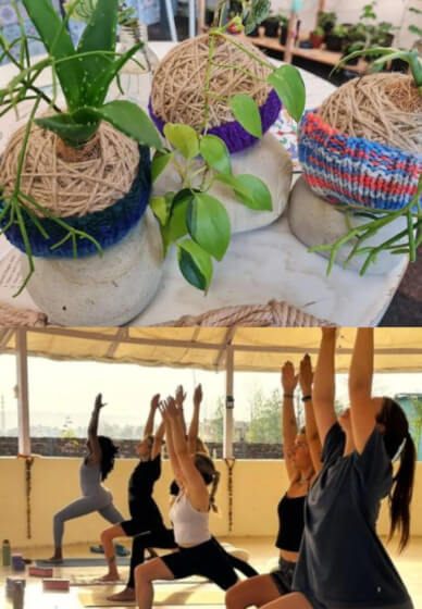 Beginners Kokedama and Yoga Workshop