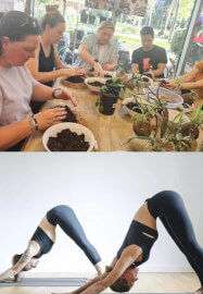 Beginners Kokedama and Yoga Workshop