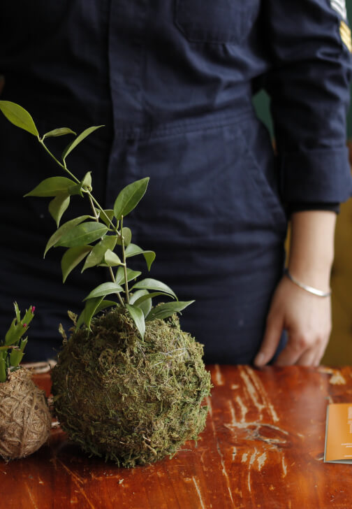 Beginners Kokedama Making Workshop