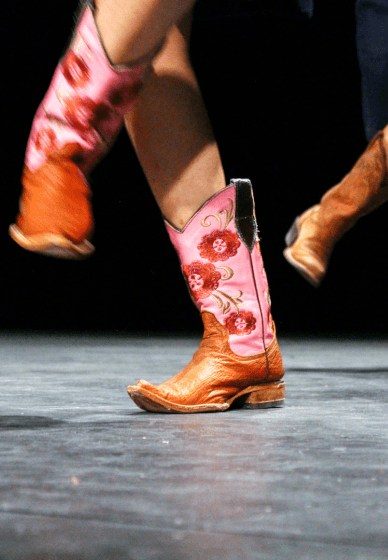 Beginner's Line Dancing Course