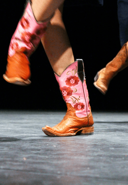 Beginner's Line Dancing Course