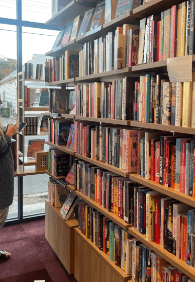 Beginners Poetry Workshop