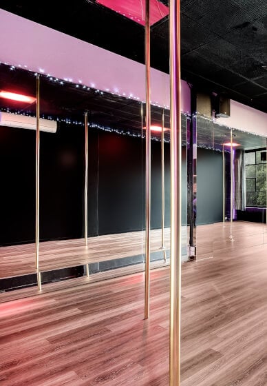 Beginners Pole Dance Class