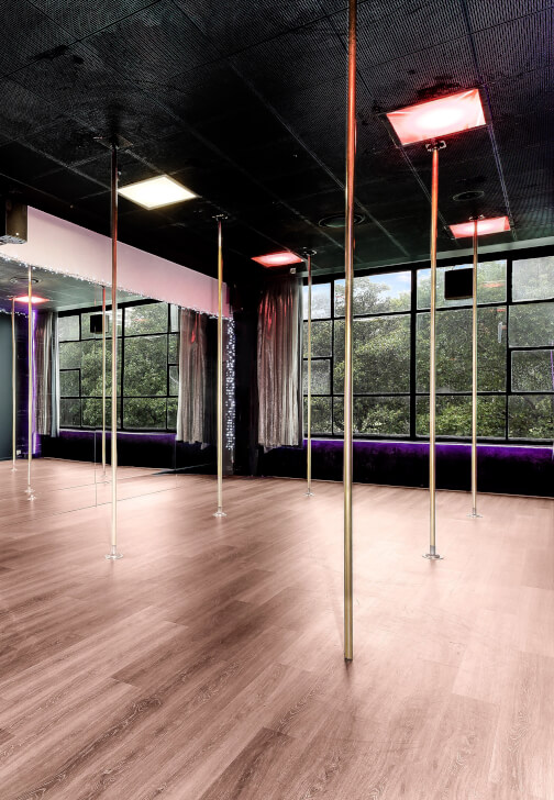 Beginners Pole Dance Class