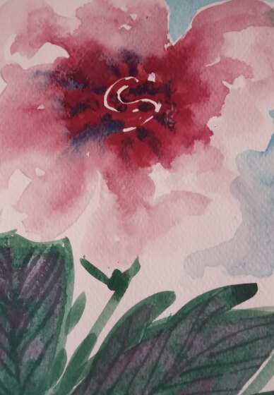 Beginners Watercolour Class at Classbunny's Studio