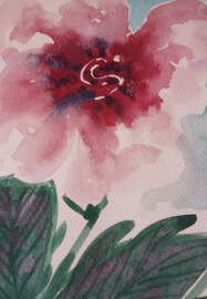 Beginners Watercolour Class at Classbunny's Studio