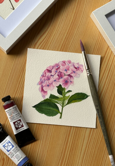 Beginners Watercolour Painting Class