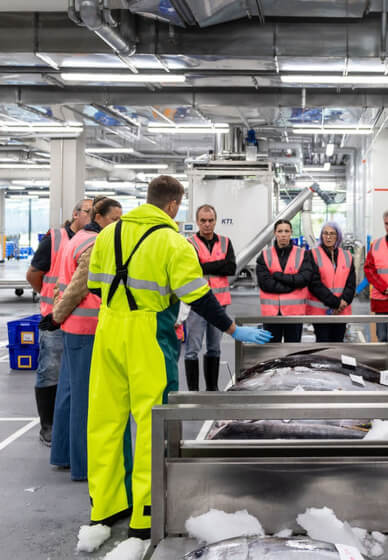 Sydney Fish Market Behind the Scenes Tour