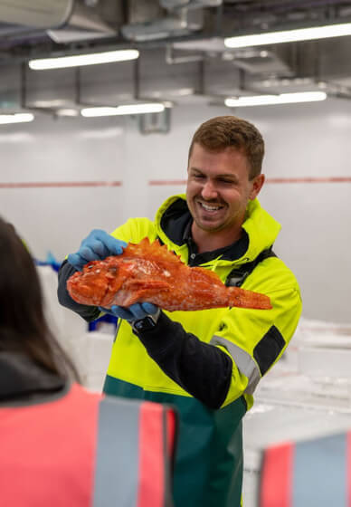 Sydney Fish Market Behind the Scenes Tour