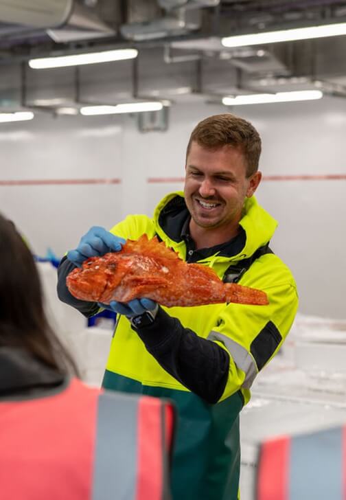 Sydney Fish Market Behind the Scenes Tour