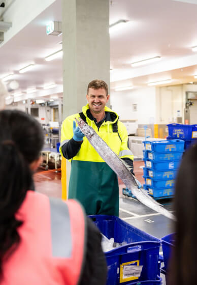 Sydney Fish Market Behind the Scenes Tour