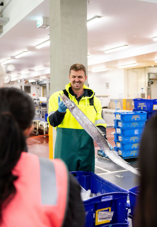 Sydney Fish Market Behind the Scenes Tour