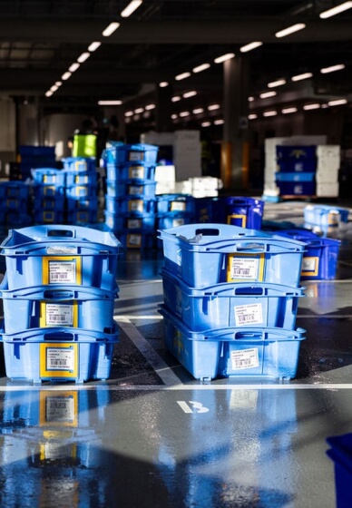 Sydney Fish Market Behind the Scenes Tour