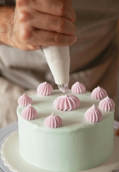 Bento Cake and Cupcake Decorating Workshop