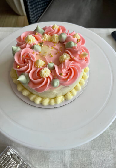 Bento Cake Decorating Workshop