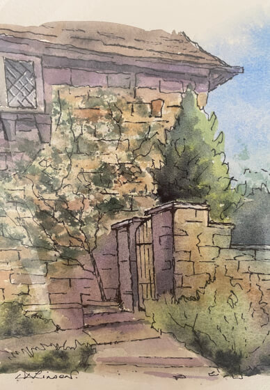 Beyond Beginners Watercolour Workshop