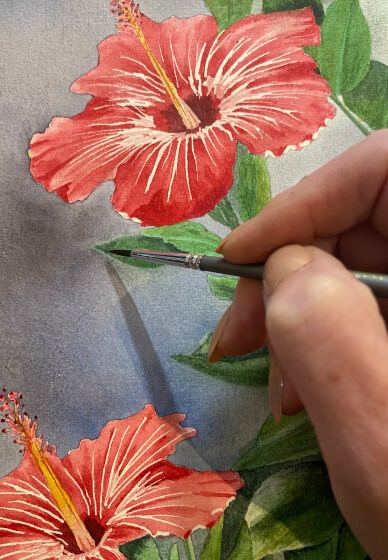 Beyond Beginners Watercolour Workshop