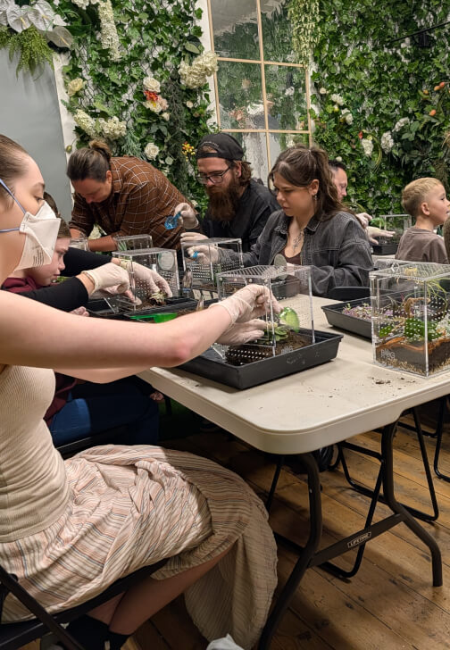 Bioactive Jumping Spider Enclosure Workshop