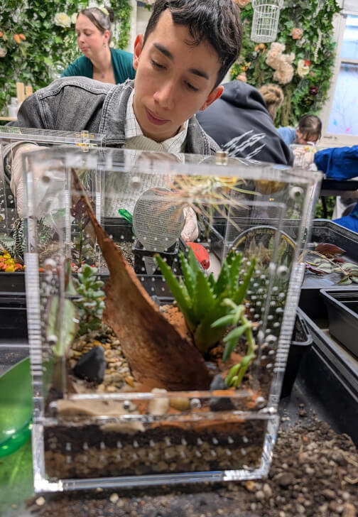 Bioactive Jumping Spider Enclosure Workshop
