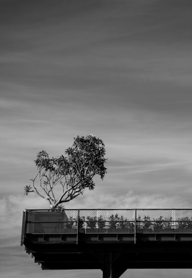 Black and White Photography Workshop