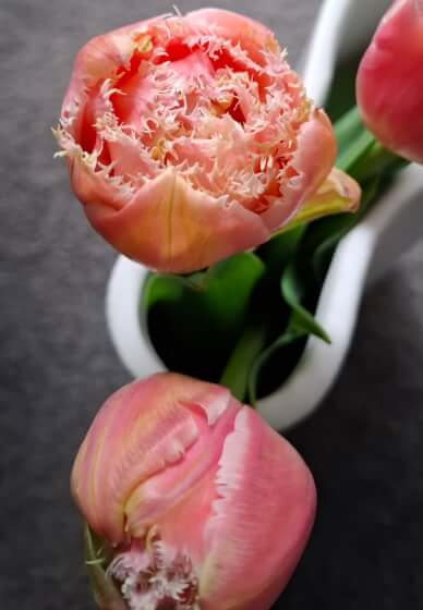 Blooming Amazing Picnic Workshop