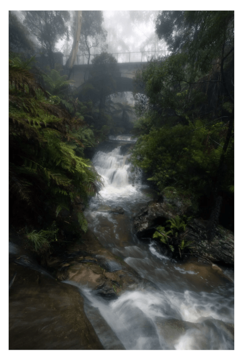Blue Mountains Photography Workshop