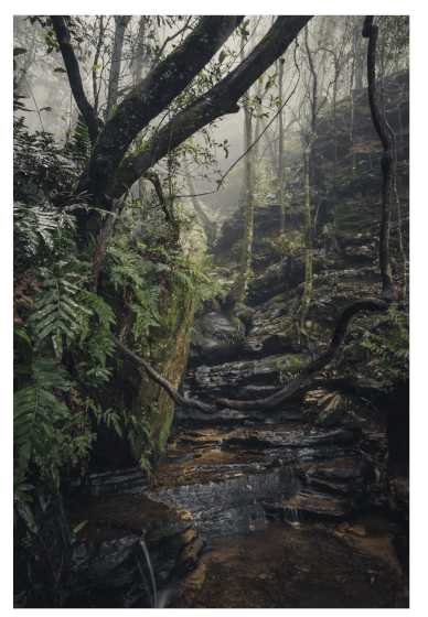 Blue Mountains Photography Workshop