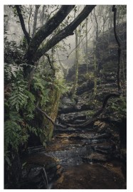 Blue Mountains Photography Workshop