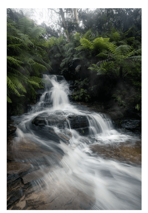 Blue Mountains Photography Workshop