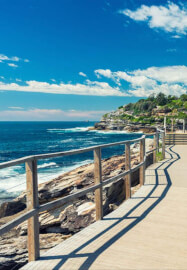 Bondi to Coogee Coastal Hike and Lunch at Coogee Pavilion