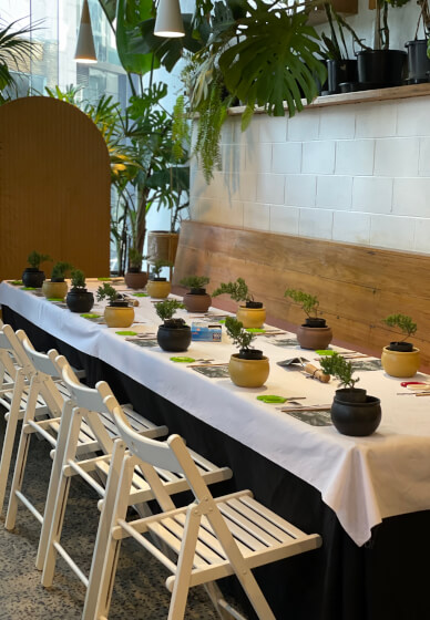 Bonsai Class for Beginners