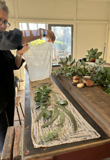 Botanic Silk Scarf Workshop