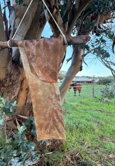 Botanic Silk Scarf Workshop