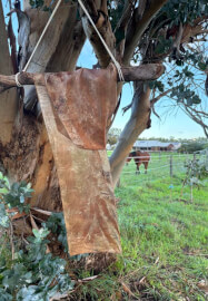 Botanic Silk Scarf Workshop