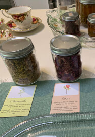 Botanical Bath and Body Rituals Workshop