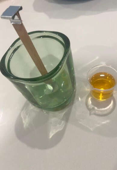 Botanical Candle Making Class