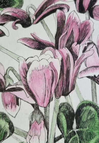 Botanical Drawing Workshop