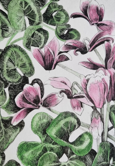 Botanical Drawing Workshop